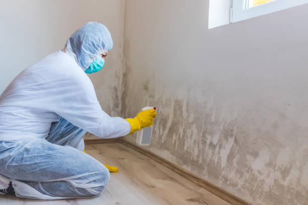 Bathroom Mold Removal assessment in Lakeside bathroom