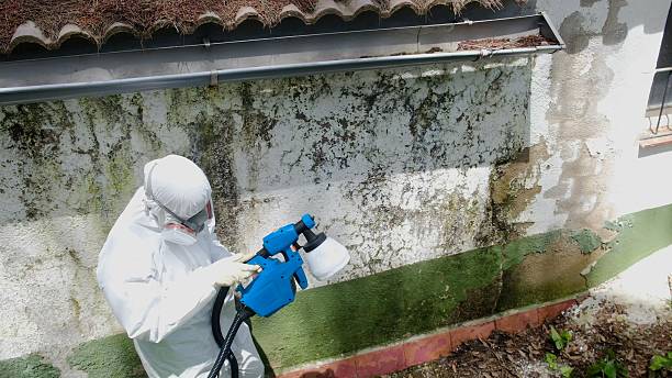 Mold Remediation service in Lakeside, Lakeside, TX